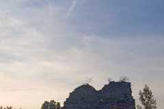 IMG-20250608-WA0013