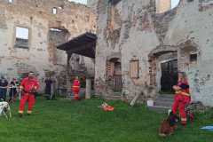 IMG-20250608-WA0019