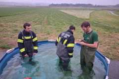 IMG-20250823-WA0096