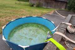 IMG-20250823-WA0192