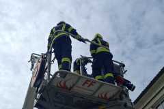 WhatsApp-Image-2026-04-11-at-17.17.48-3