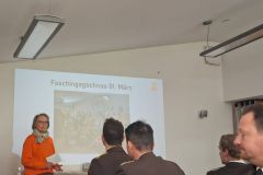 Design ohne Titel - 12