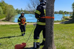 PXL_20260425_092603663