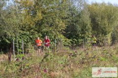 2021_Laufendhelfen_Rotes-Kreuz-Schwertberg_GS_220-scaled