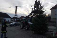 Weihnachtsbaum_2022_2