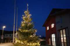 Weihnachtsbaum_2022_4