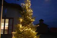 Weihnachtsbaum_2022_5