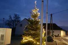 Weihnachtsbaum_2022_6